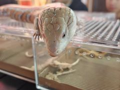 -万达广场(松江店)