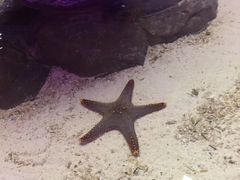 -石家庄海洋公园