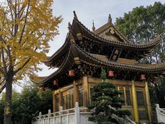 -上海东林寺(金山区)