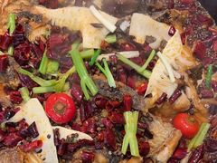 -老板恋上鱼(印象城店)