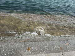 -幸福门