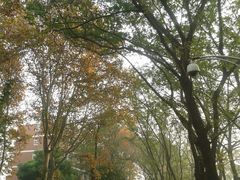 -南京特殊教育师范学院(燕子矶校区)