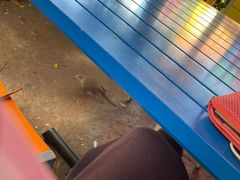 -Lotso Lunch Box 草莓熊餐盒