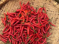 -湘江红·湖南招牌菜(莲花南路店)