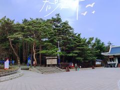 -帽儿山国家森林公园