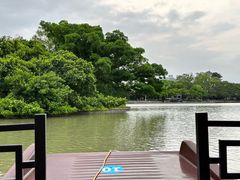 -江心屿景区