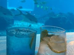 -涛·海底餐厅·美人鱼·自助餐·海底隧道(三亚海棠湾洲际度假酒店)