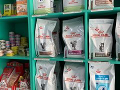 -中农大我爱我爱24h动物医院·中医针灸·猫专科·骨科医疗中心(双井店)