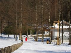 -广元曾家山国际滑雪场
