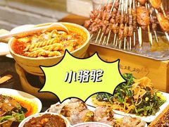 -福苗小骆驼烧烤(中关村店)