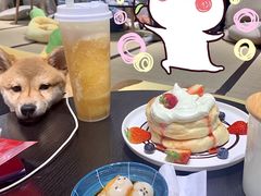 -逗柴咖啡屋·狗咖猫咖宠物桌游