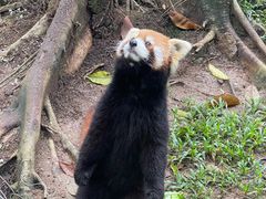 -深圳野生动物园