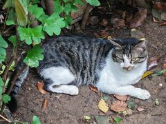 -狼山风景名胜区