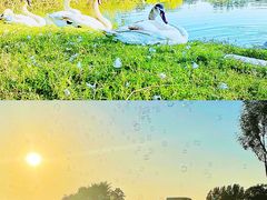 -北龙湖湿地公园