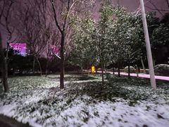 -木塔寺遗址生态公园