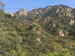 -大岭沟猕猴桃谷风景区