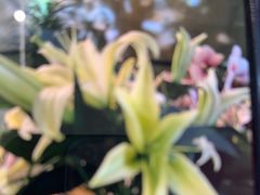 -施奈儿.洗头頭療.按摩SPA.采耳(上梅林店)