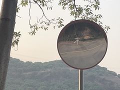 -东莞市大岭山森林公园