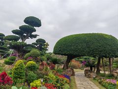 -南宁南湖公园