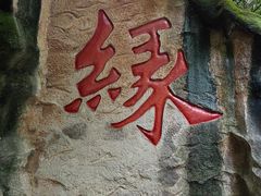 -杭州黄龙洞