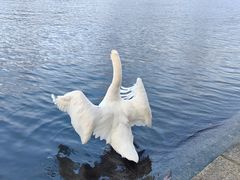 -海德公园