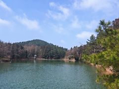 -四明山国家森林公园