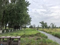 -汉长安城未央宫国家考古遗址公园