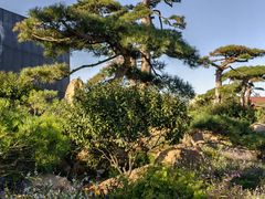 -罗红摄影艺术馆