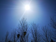 -永定河休闲森林公园