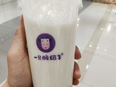 -一只酸奶牛(成都sm广场店)