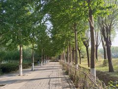 -东升八家郊野公园