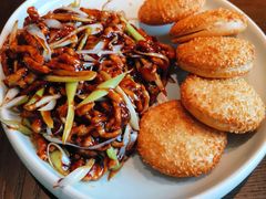 张氏炒肉丝-羲和雅苑•北京烤鸭(乐园道万象城店)