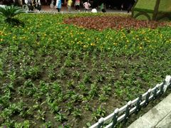 -长春公园(普阳街道)