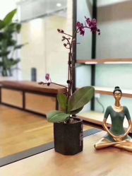 -FineYoga梵音瑜伽·普拉提