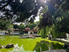 -舜耕山庄四时万和自助餐厅