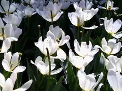 -长春公园(普阳街道)