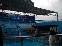 -石林冰雪海洋世界