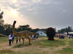 -祥源·阜阳生态乐园