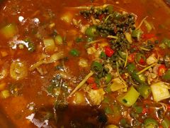 -老号尤兔头(幸福店)