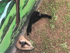 -西霞口神雕山野生动物世界