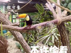 -海合安武汉极地海洋公园