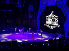 -俄罗斯国家大马戏团