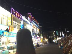 -宝健路步行街(Pedestrian Shopping Street)
