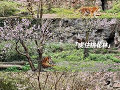 -杭州动物园
