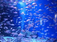 -成都浩海立方海洋公园