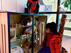 -撸啊撸铁签小肉(车站南路店)