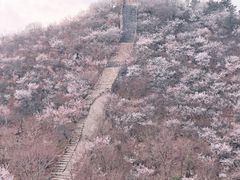 -龙泉峪长城
