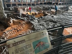 -自贡恐龙博物馆