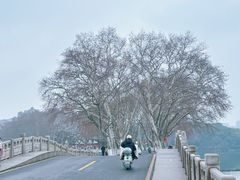-李公堤