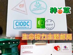 -东华门大街小区